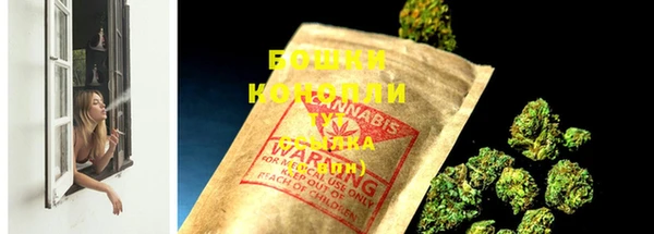 трава Горнозаводск