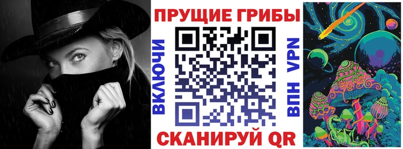Псилоцибиновые грибы GOLDEN TEACHER  MEGA зеркало  Железногорск 
